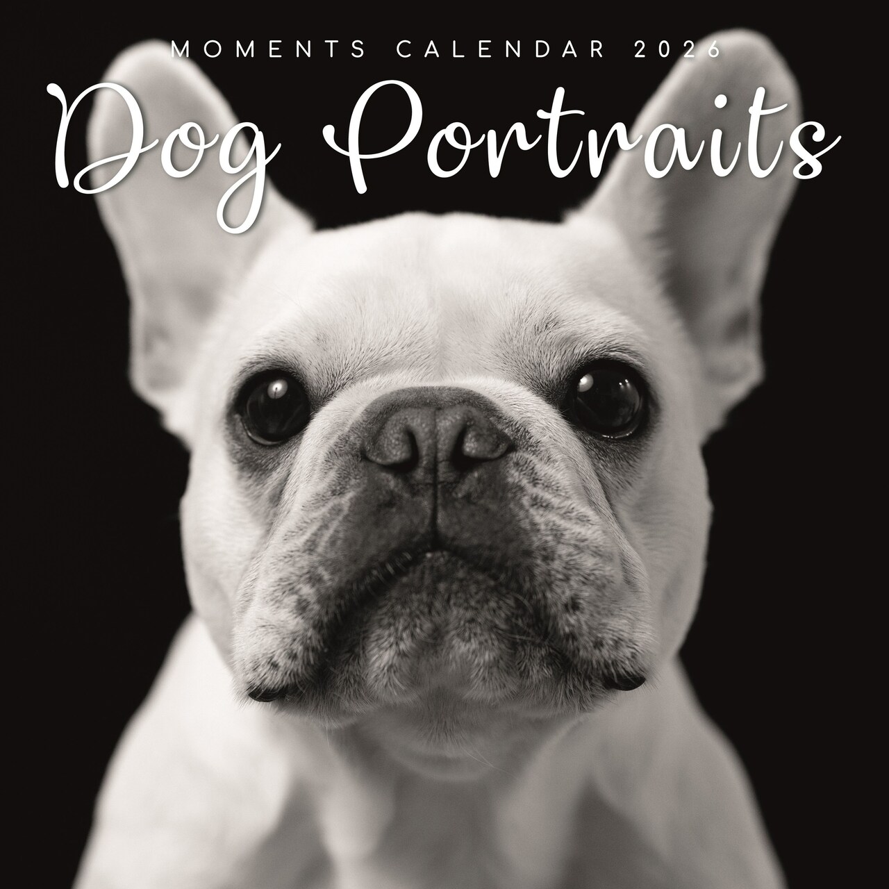 The Gifted Stationery 16-Month Square Wall Calendar - Black & White Dog Portraits & 180 Reminder Stickers on 2026 Wall Calendar - Sept 2025-Dec 2026, 12 x 12 In